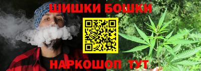 молекула духа Шелехов