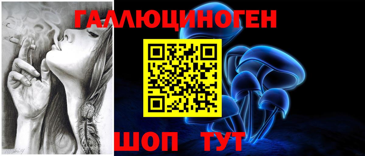 дарнет шоп  Галлюциногенные грибы MAGIC MUSHROOMS  Вход с VPN  Пушкино  Псилоцибиновые грибы Magic Shrooms 