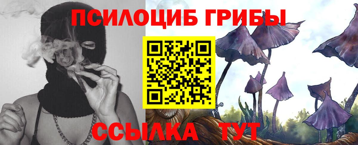Псилоцибиновые грибы мицелий Пушкино